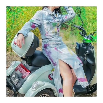 Настройка E Trike 3 колеса взрослый скутер Моторизованный электрический трехколесный велосипед на Филиппинах