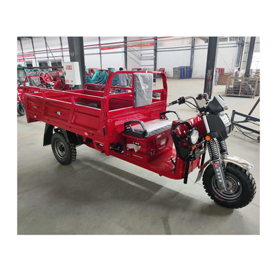 Двигатель 2200W/3000W Двойная скорость Двойной режим Три цикла 3 колеса с 600 кг полезной грузоподъемностью