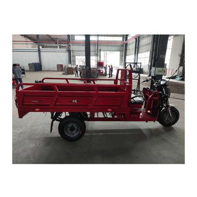 Двигатель 2200W/3000W Двойная скорость Двойной режим Три цикла 3 колеса с 600 кг полезной грузоподъемностью