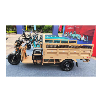 3 колеса электрический Etrike с передним барабаном Задние барабанные тормоза и 70-90 км пробега