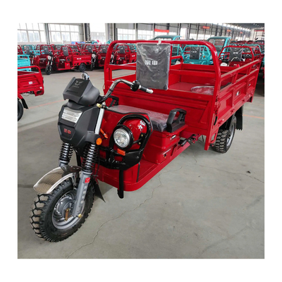 E-Trike Rickshaw Electric Tricycle Cargo Truck для грузовых грузовых автомобилей